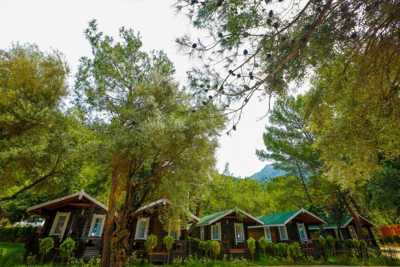 Green Pine Beach & Bungallows Hisaronu Eksteriør bilde